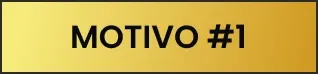Motivo 1
