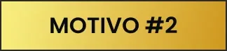 Motivo 2