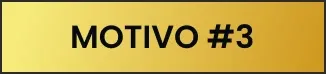 Motivo 3