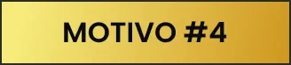 Motivo 4